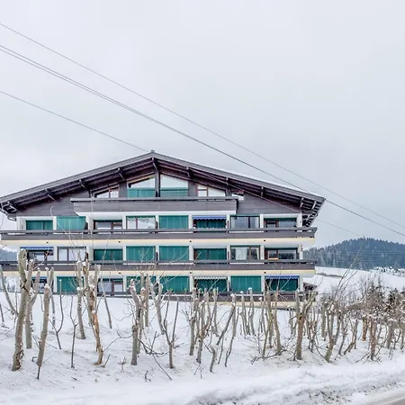 My Mountain Next Door *