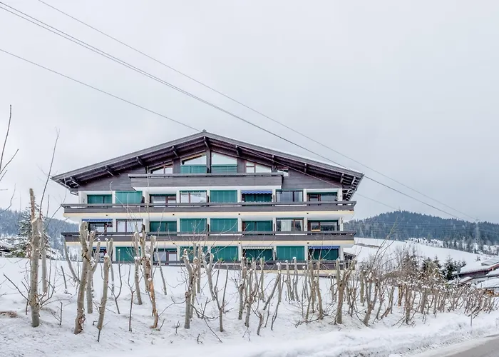 My Mountain Next Door *