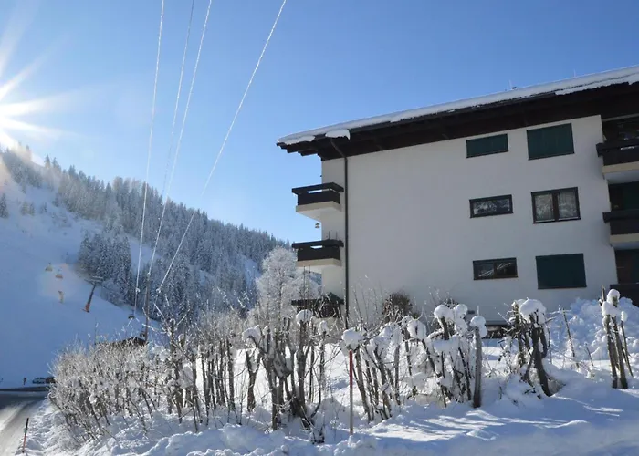 Daire My Mountain Next Door